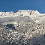 Bergromantik Charme Mit Einer Infrarotkabine Und Bergblick Lejlighed